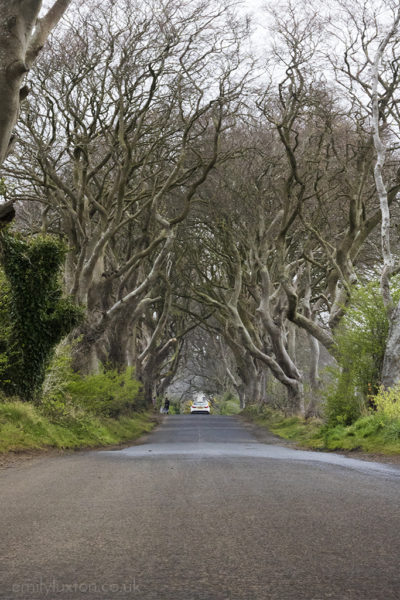 Legends and Landscapes on the Causeway Coast