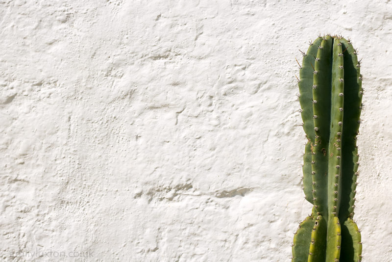 Five Things that Happened on my Digital Detox Retreat