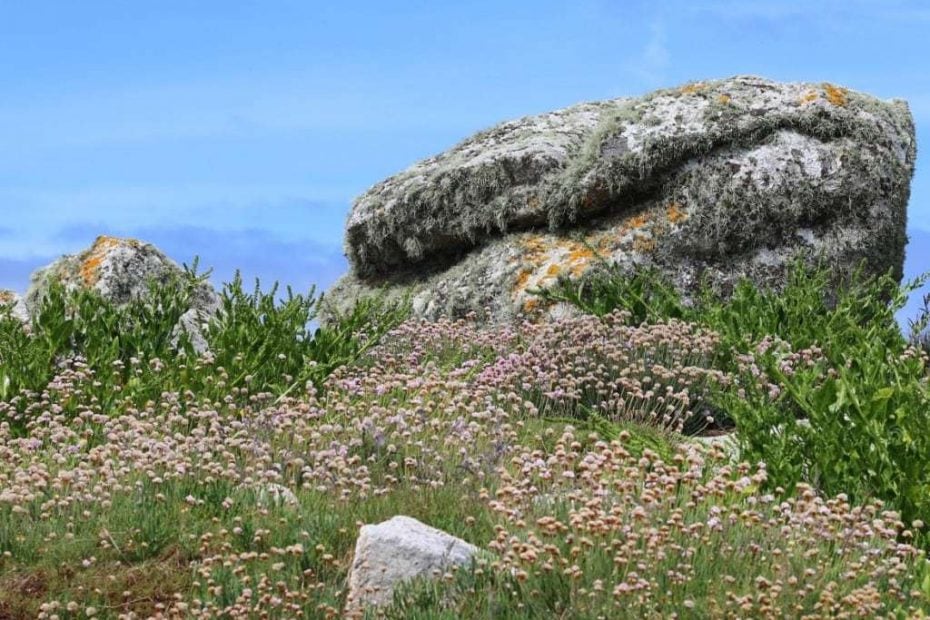 Hell Bay Hotel Bryher