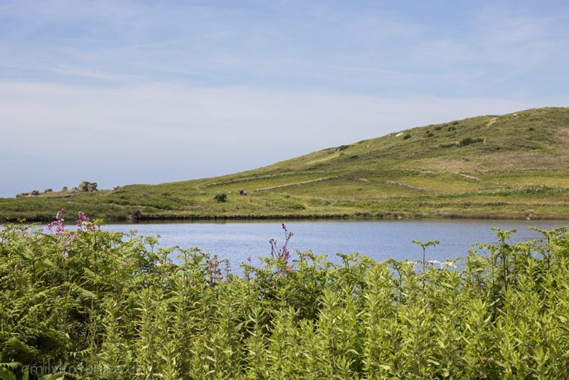 Hell Bay Hotel and Bryher