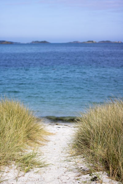 Tresco Isles of Scilly 