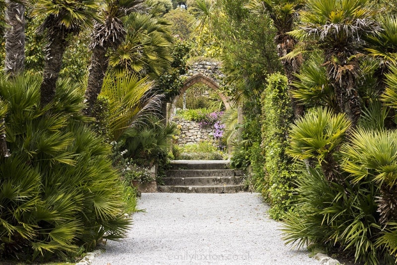 Tresco Isles of Scilly 