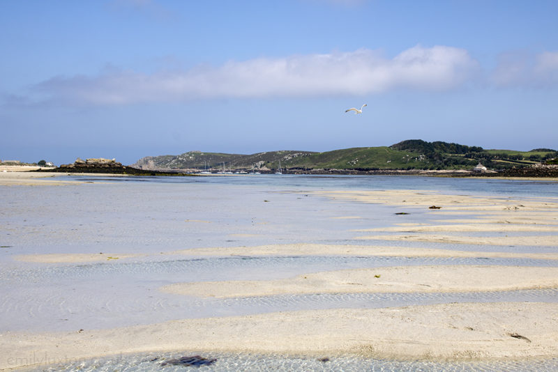 Tresco Isles of Scilly 