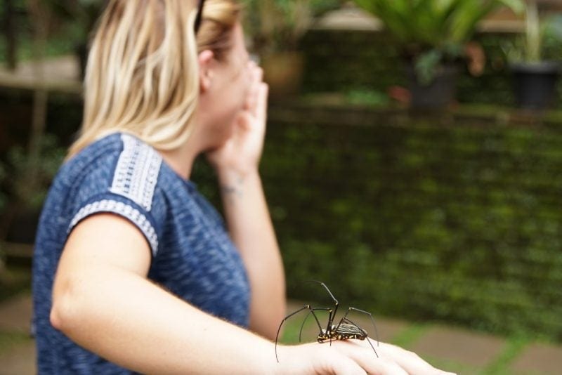 Facing Fears Through Travel