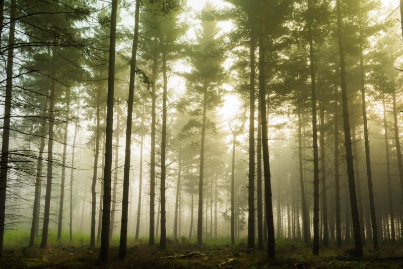 Reasons to Take a Short Break Instead of a Long Trip