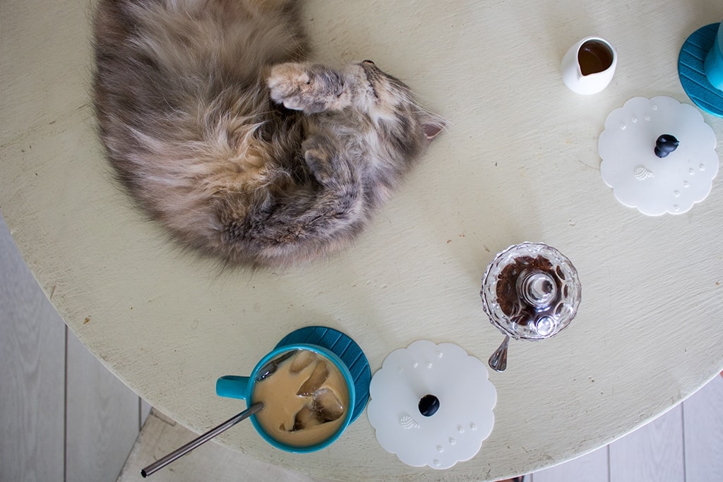 Ubud Travel Guide for Backpackers: Everything you Need to Know