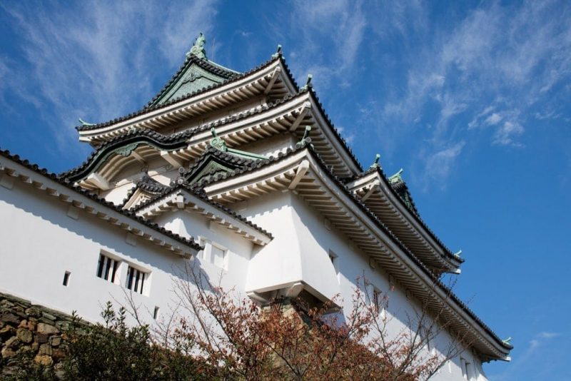 Seven Reasons to Visit Wakayama City