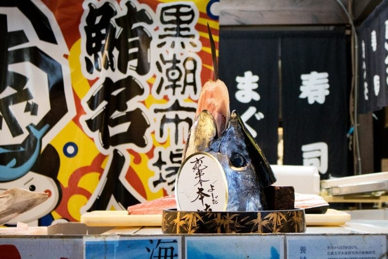 A fish market display featuring a large fish head, likely a tuna, prominently placed on a cutting board. The fish head has a circular sign with Japanese writing on it. The background includes colorful signage with bold Japanese characters and a decorative pattern. There are also black curtains with white Japanese characters hanging in the background.