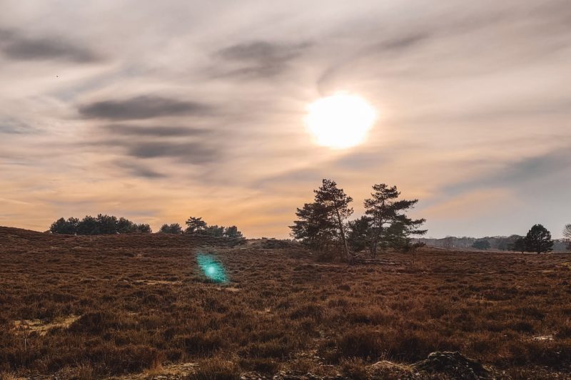 Hidden Gems in Europe - Veluwe Netherlands