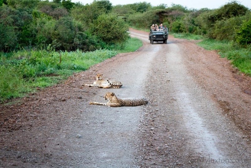 Thanda Safari KwaZulu-Natal