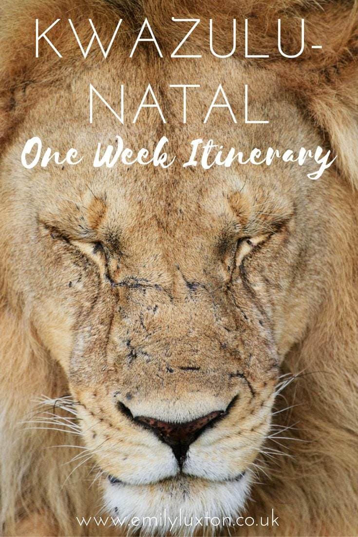 One Week Itinerary for KwaZulu-Natal, South Africa