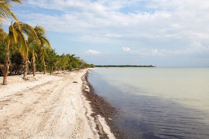 Isla Holbox Mexico