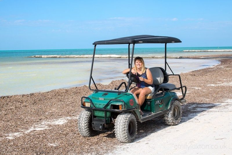 emily wearing a tank top with her blonde hair loose sitting in a turquoise golf cart on a white sandy beach with a layer of brown dried seaweed on it with the sea in the background