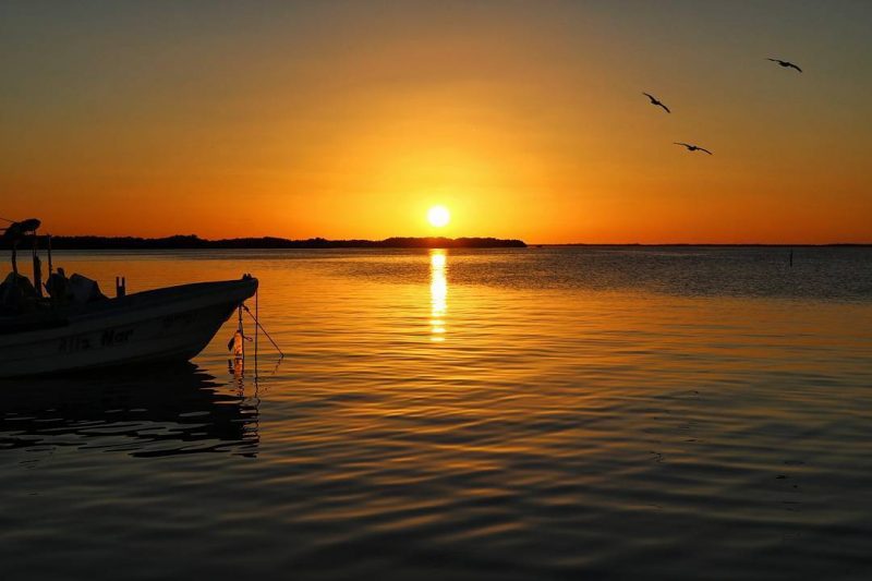 A sunrise over a wide river in Rio Lagartos with three birds silhouetted in the orange sky and a small boat silhouetted in the foreground