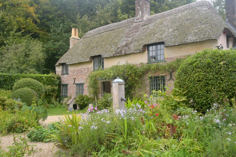 Cottage built from red brick with a thatched roof and a large garden filled with flowers and hedges - Thomas Hardy cottage near Higher Bockhampton in Dorset