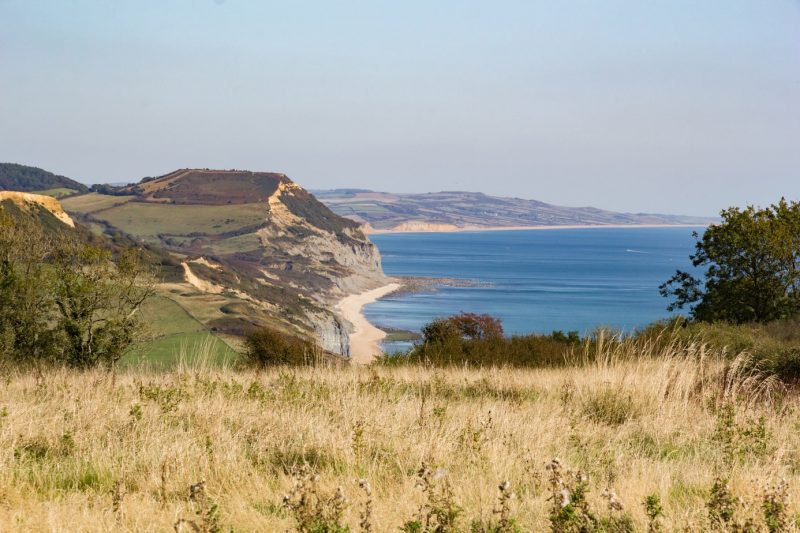 View from a grassy clifftop of Golden Cap a large cliff in Dorset England with a beach visible in front of the Cap and the blue sea beyond