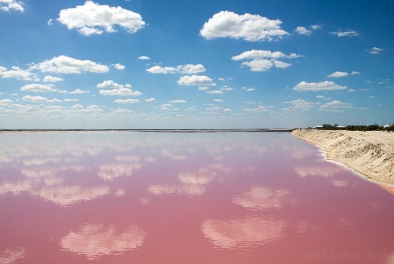 a large man made lake filled with bright pink water reflecting the fluffy white clouds in the bluew sky above at Las Coloradas in Mexico