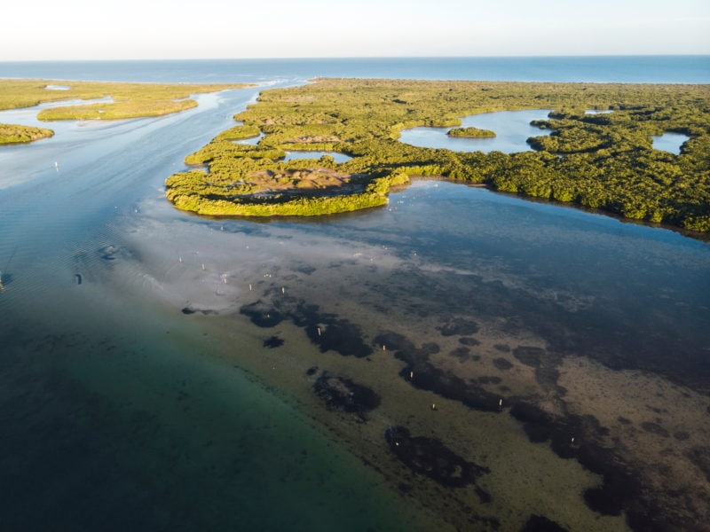 Aerial view of bright sunrise over a wide estuary with thick green mangrove forests on either side