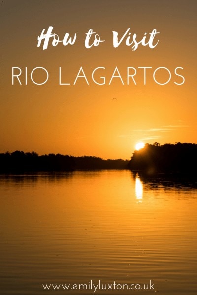 Planning a Trip to Rio Lagartos