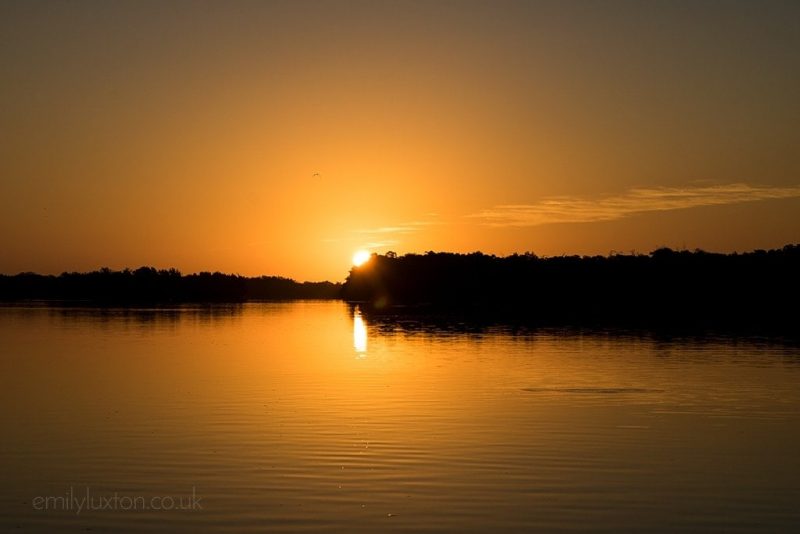 a golden sunrise with the sun appearing behind from a silhouetted forest on the far bank of a wide river. there is one small silhouetted bird in the orange sky. 