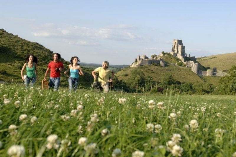 a group of 2 men and 2 women wearing brightly coloured t shirts running throguh a field of wildflowers with a ruined castle in the background