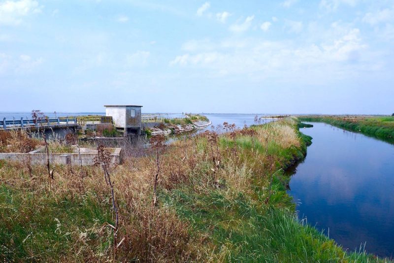 Margherita Di Savoia salt flats