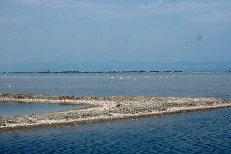 Margherita Di Savoia salt flats