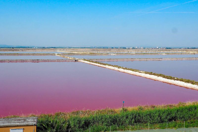 Exploring the Pink Salt Flats of Margherita Di Savoia