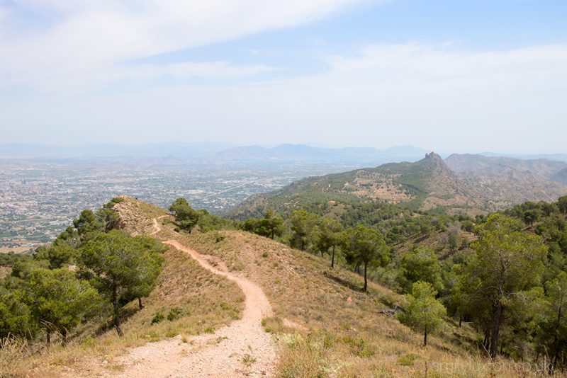 View from a hill top in El Valle Regional Park in Spain, looking along a grassy ridge with trees on either side towards a small peak 