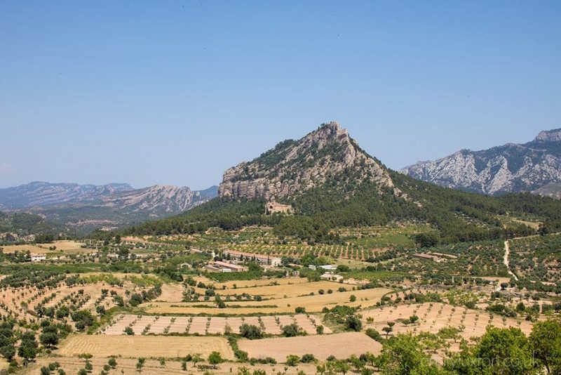 olive oil tourism catalonia