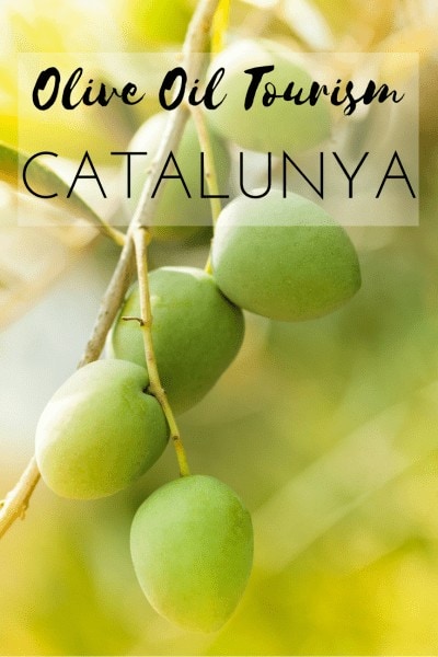 Olive Oil Tourism Catalunya