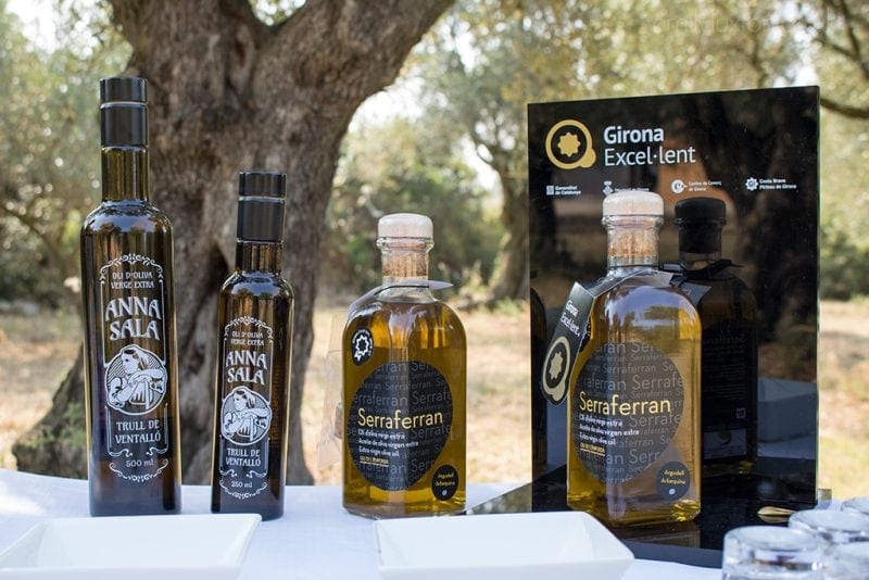 olive oil tourism catalonia