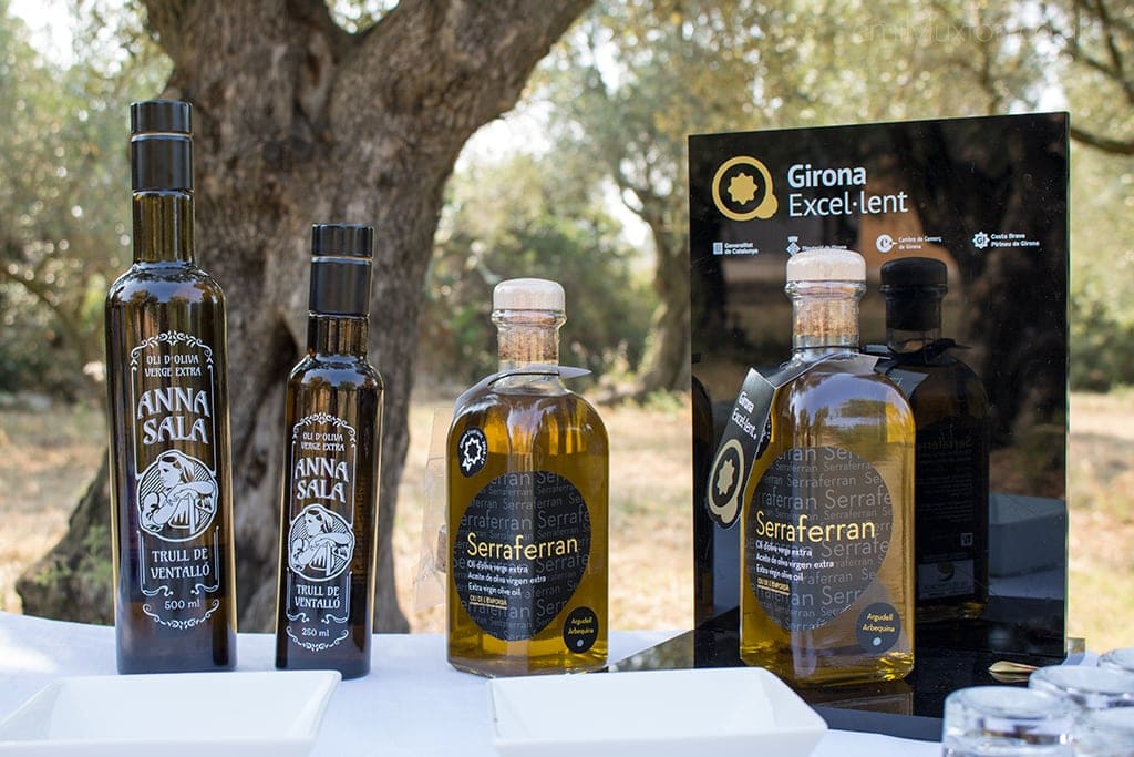 Olive Oil Tourism Catalonia A New Way to Discover the Region