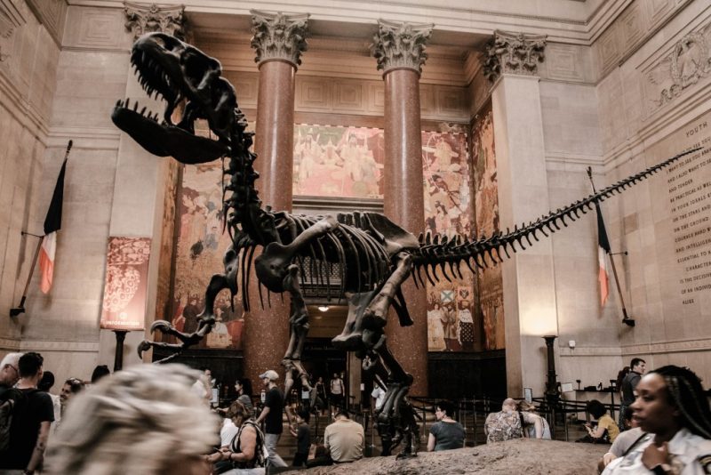 Coolest museums in NYC