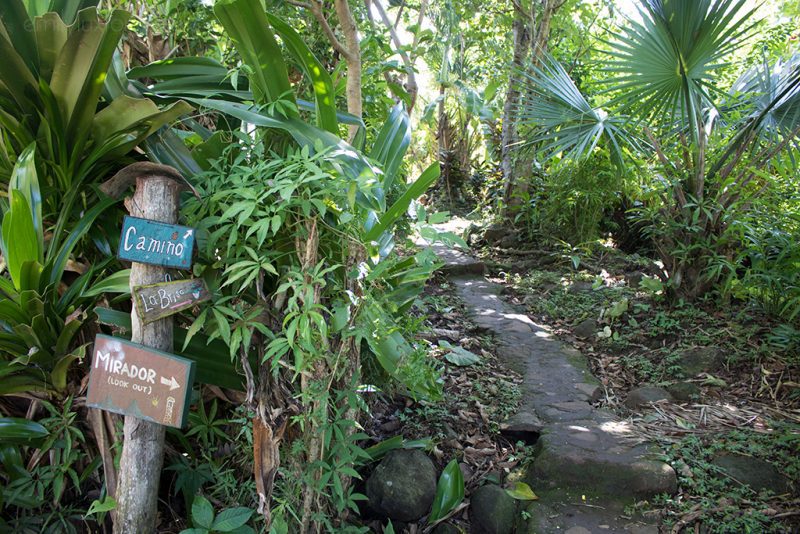 Best Things to do on Ometepe Island