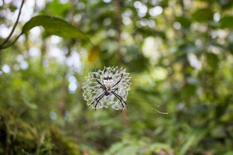 One week in Costa Rica