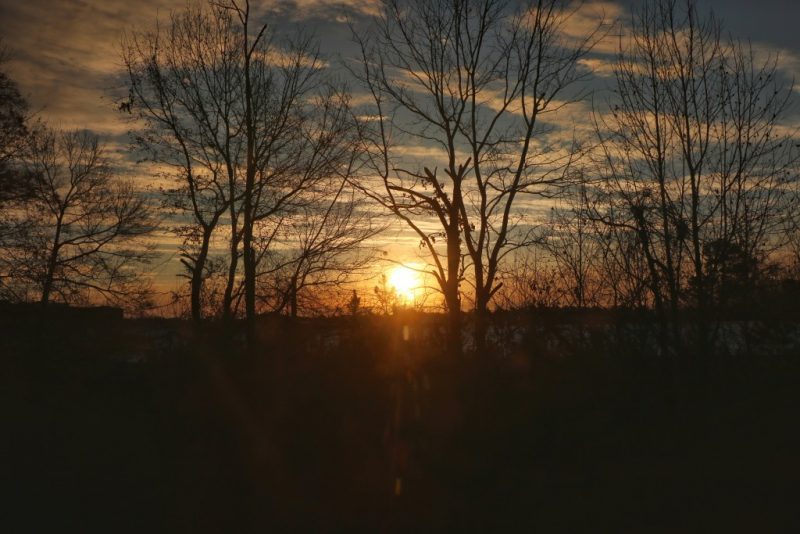 looking through some bare trees at a sunset. train from new york to new orleans