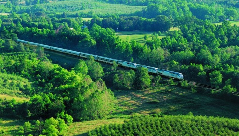aerial shot of the amtrak train from new york to new orleans driving through a green forest