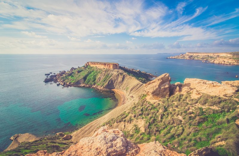 greenery on the coast of Malta