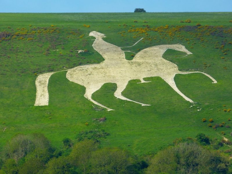 grassy hillside with a chalk drawing of a man on a horse