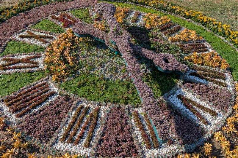 Large clock on a hillside made from flowers 