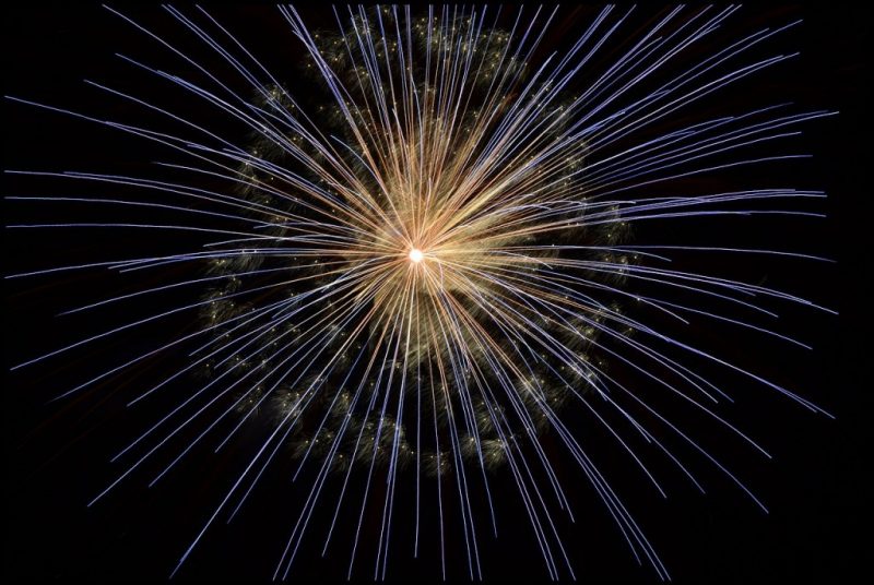 white and blue firework exploding against the the night sky