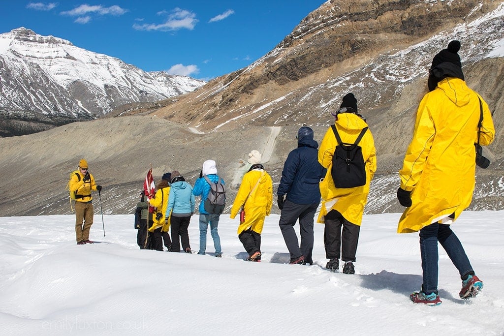 Highlights of the Icefields Parkway with Trek America