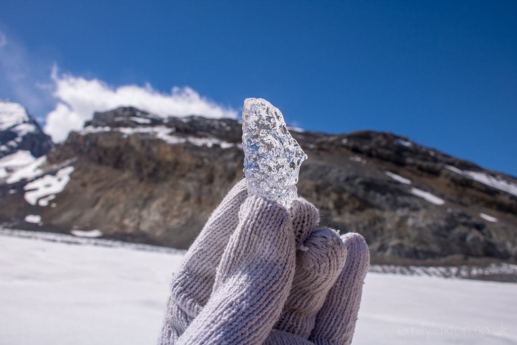 Highlights of the Icefields Parkway with Trek America