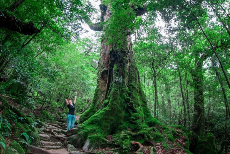 japan nature destinations