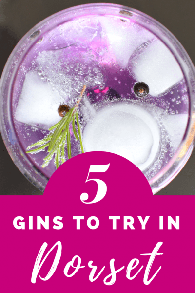 5 of the best gins to try in Dorset England