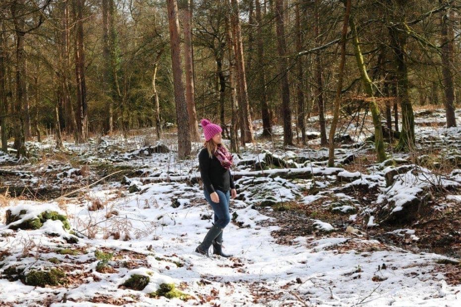 10 Things to do in the New Forest in Winter