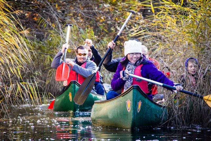 new forest winter activities