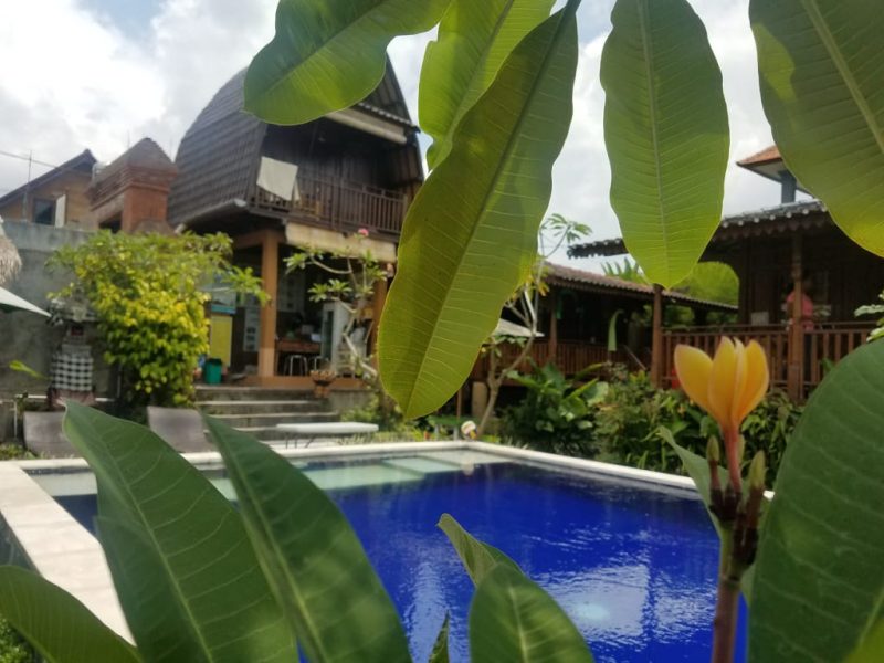 best hostels in ubud