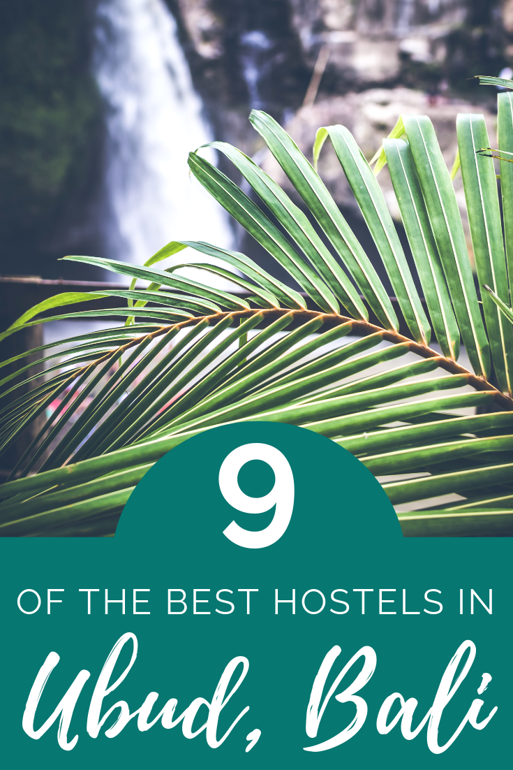 Best hostels in Ubud